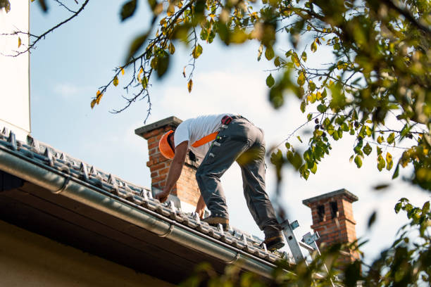 Best Green or Eco-Friendly Roofing Solutions  in Granger, IN